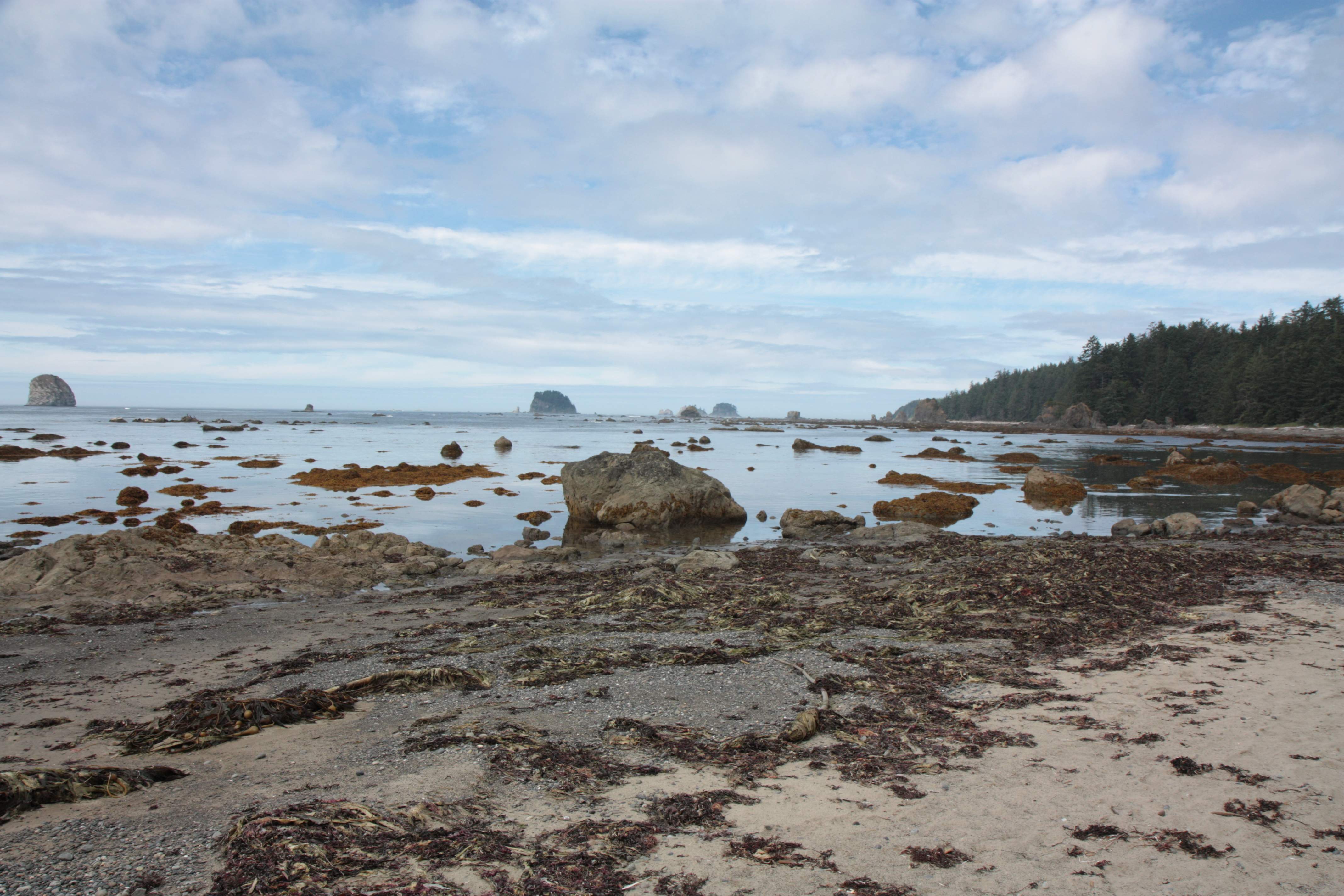 Olympic NP